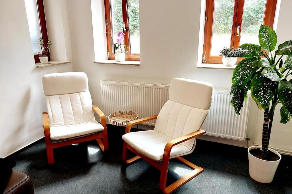 Zentrale Ferienwohnung - Direkt Am See Und Schloss Schwerin  Dış mekan fotoğraf