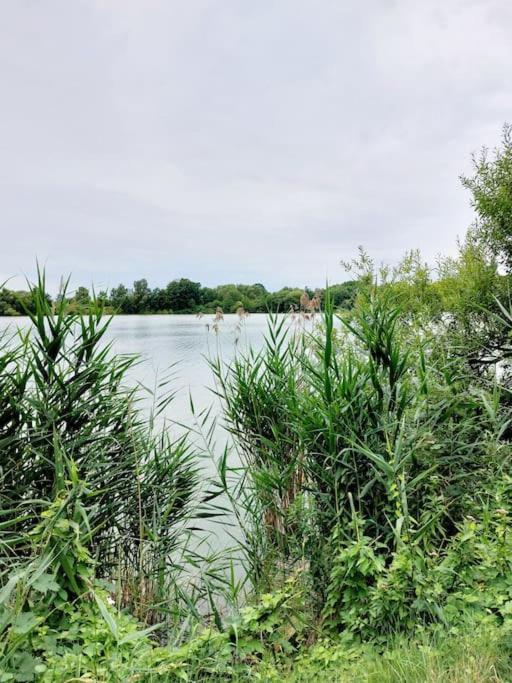 Zentrale Ferienwohnung - Direkt Am See Und Schloss Schwerin  Dış mekan fotoğraf